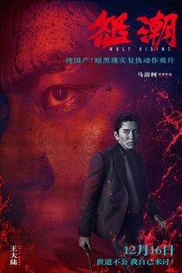 高密度口碑新片